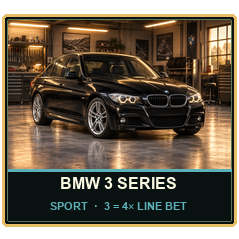 BMW 3 SERIES